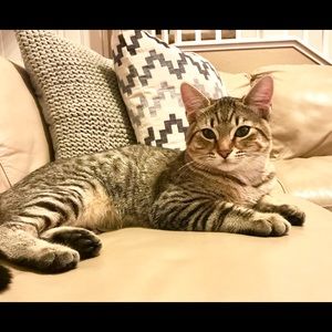 Meet your Posher, Stacia